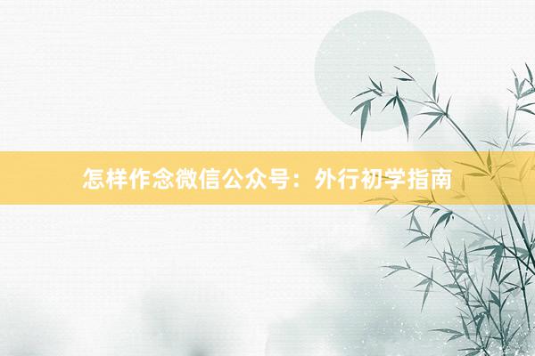 怎样作念微信公众号：外行初学指南