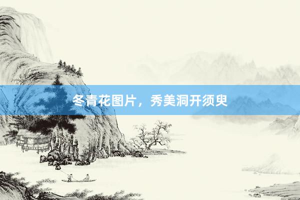 冬青花图片，秀美洞开须臾